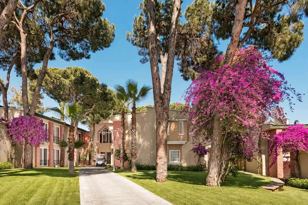 Реабилитация и физиотерапия в Турции: «Pine Beach Belek» 5*