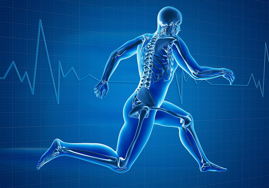 Наше тело – наше лекарство