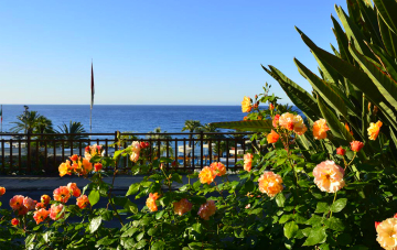 Fioriture-VI_2.jpg