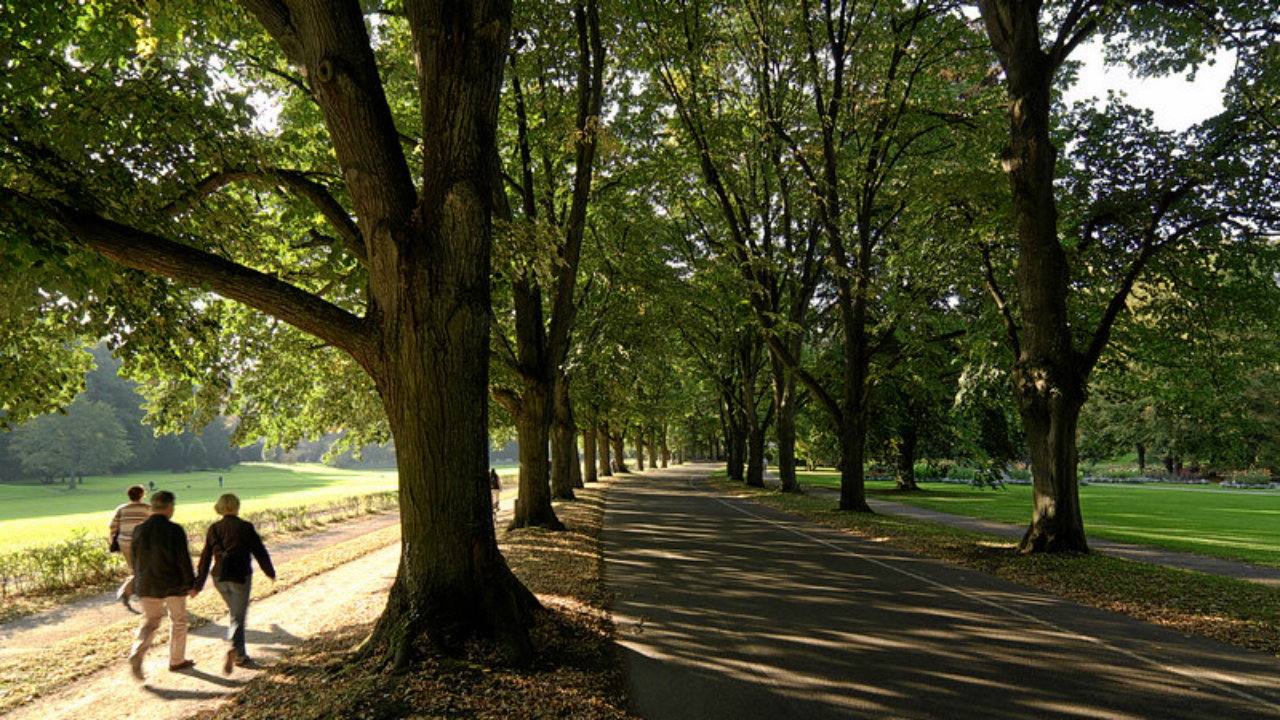 Lichtentaler_Allee_IMGP7191.jpg