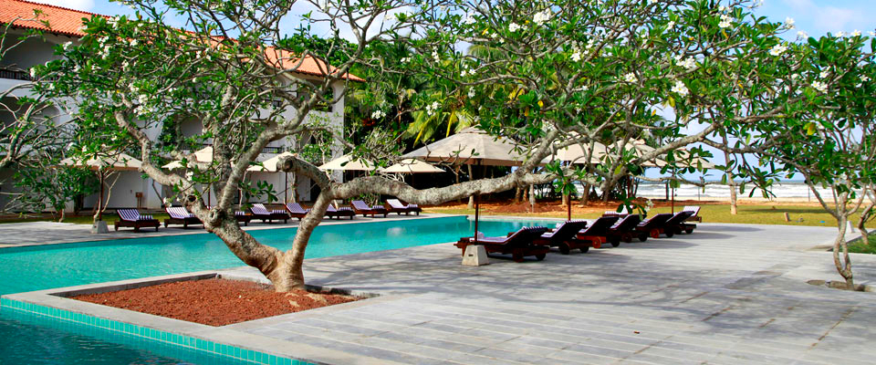 mahagedara-swimming-pool-2_1.jpg