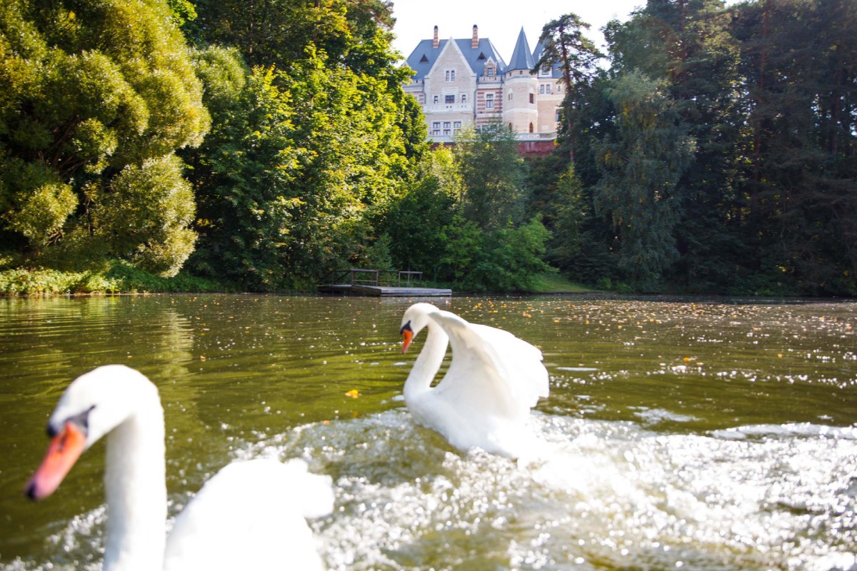 Бессонница и «сонный туризм» Бессонница и «сонный туризм»