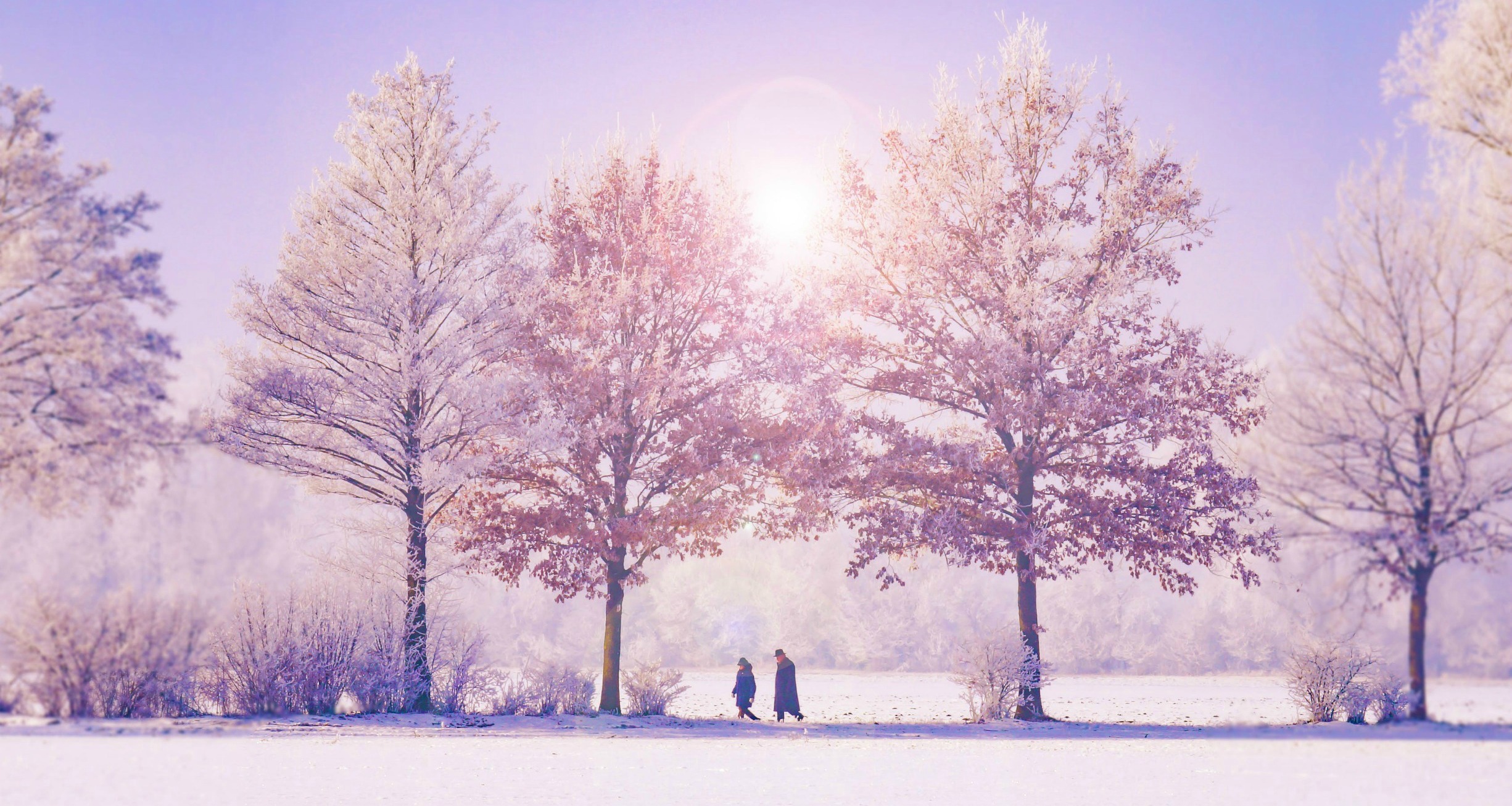 DecemberForYou.jpg DecemberForYou.jpg
