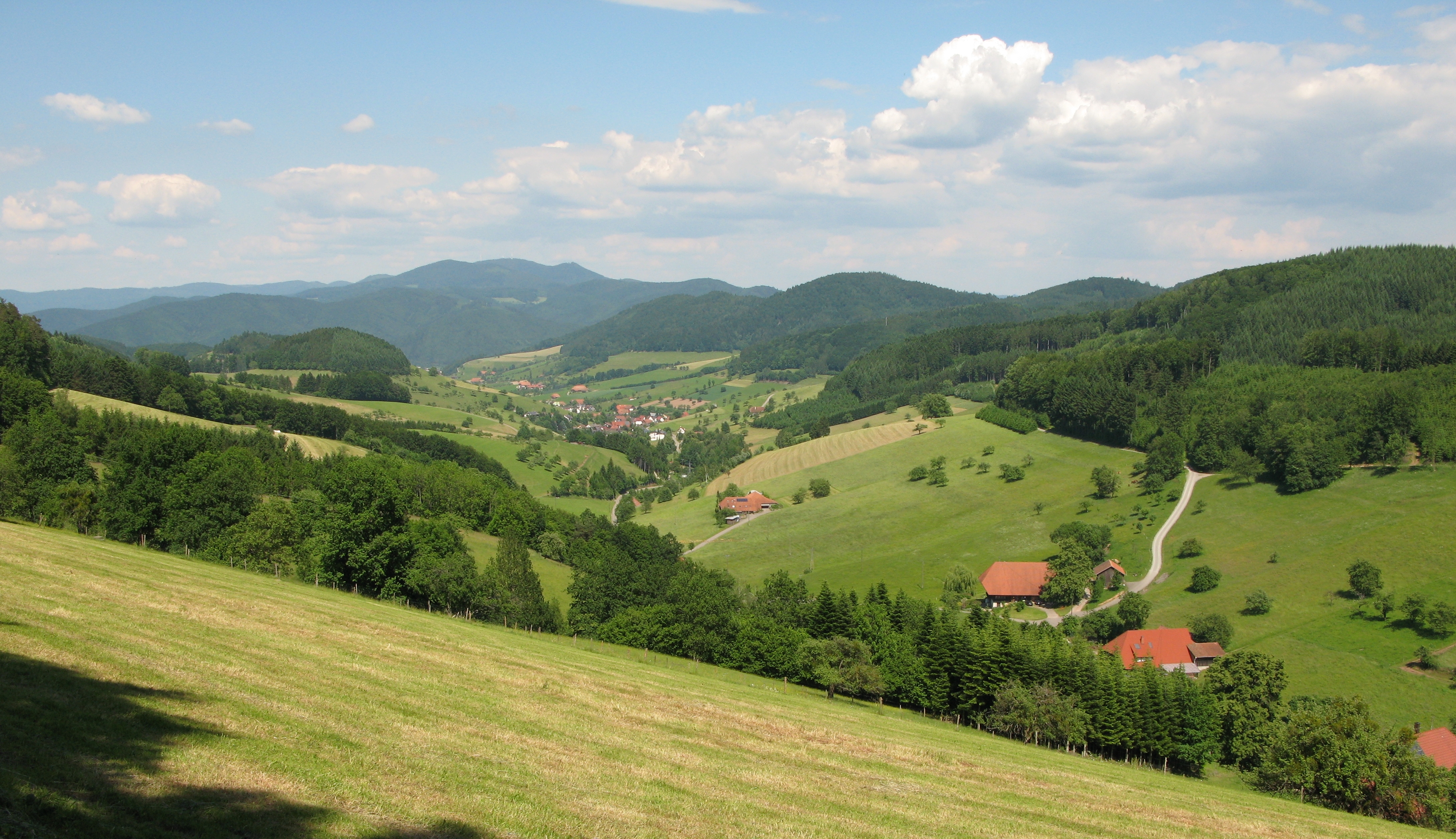 Langbrunnen_Welschensteinach_01_Kandelhöhenweg.jpg