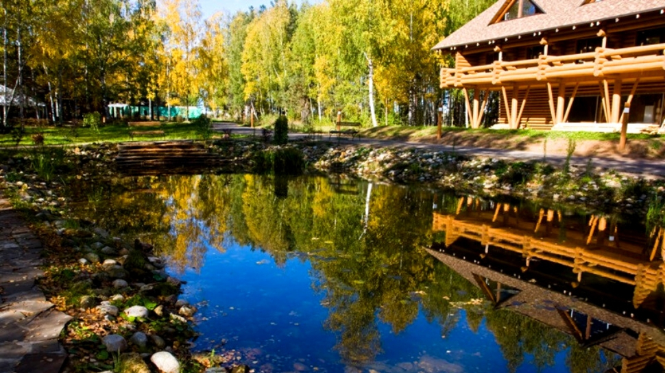 Романов лес_пруд1.jpg
