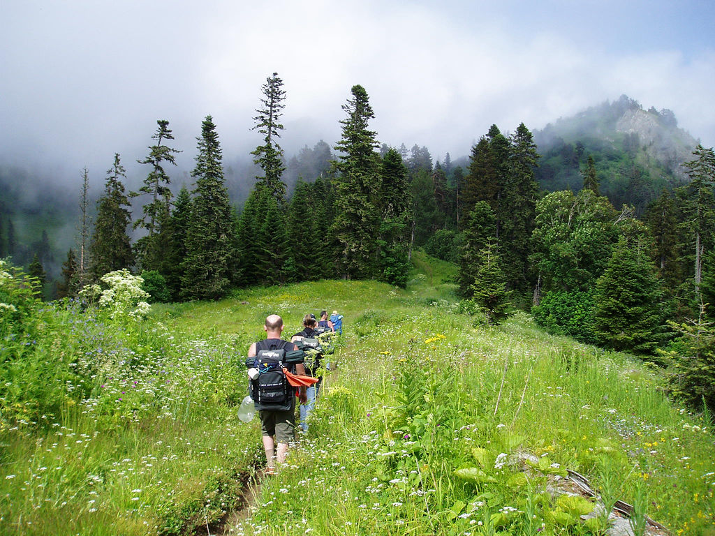 Borjomi_Kharaguli_National_Park_-_Georgia_(5).jpg