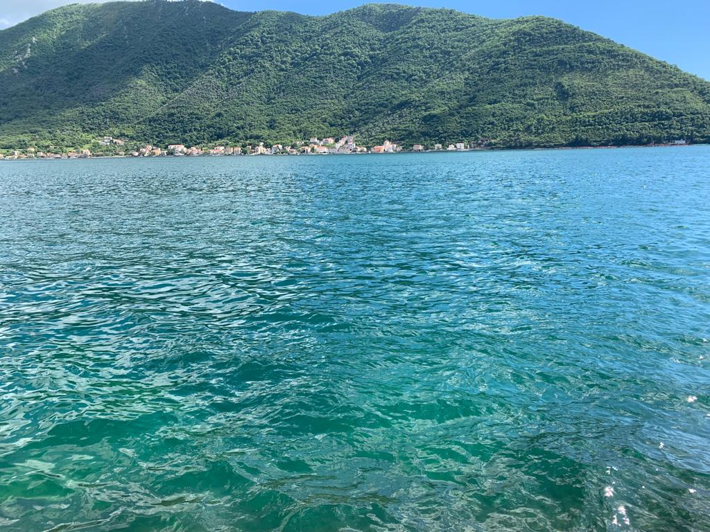 IMG-20190611-WA0010.jpg IMG-20190611-WA0010.jpg