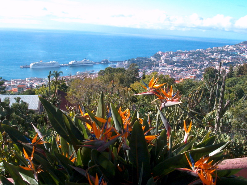 madeira_botanical_garden2.jpg