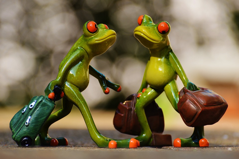 frogs-897976_960_720.jpg frogs-897976_960_720.jpg