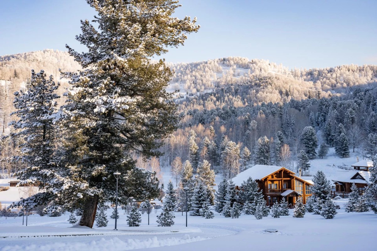 Бессонница и «сонный туризм» Бессонница и «сонный туризм»