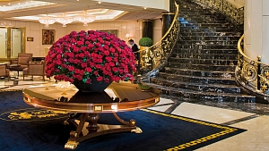 Программа «Здоровая роскошь» в Дюссельдорфе