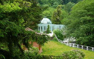 Цены курорта Боржоми, отель Borjomi Palace 4*